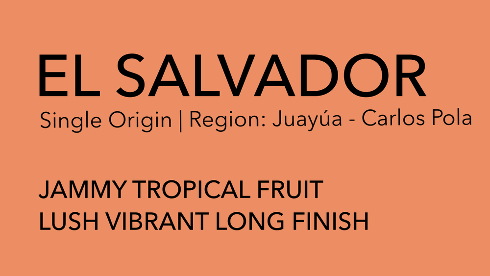 EL SALVADOR Single Origin | Anaerobic Natural