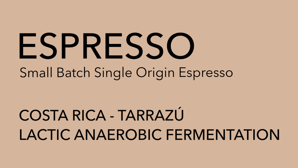 COSTA RICA Anaerobic | Espresso/Dark Roast