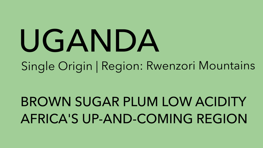 UGANDA Single Origin | Rwenzori Mountains