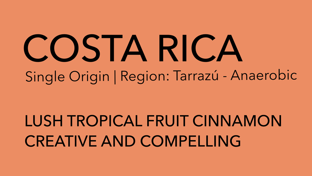 
                  
                    COSTA RICA Single Origin | Anaerobic
                  
                